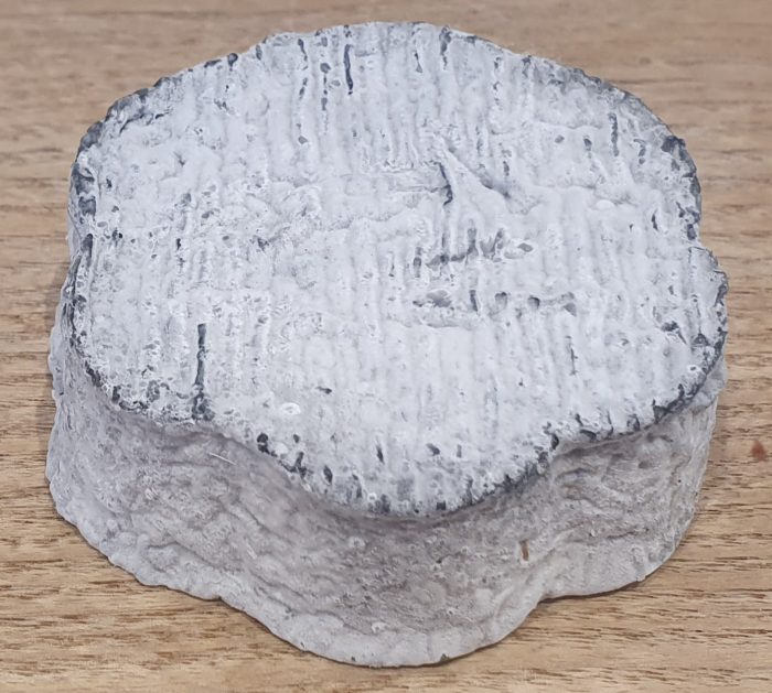 Fleur de Sologne – Image 2