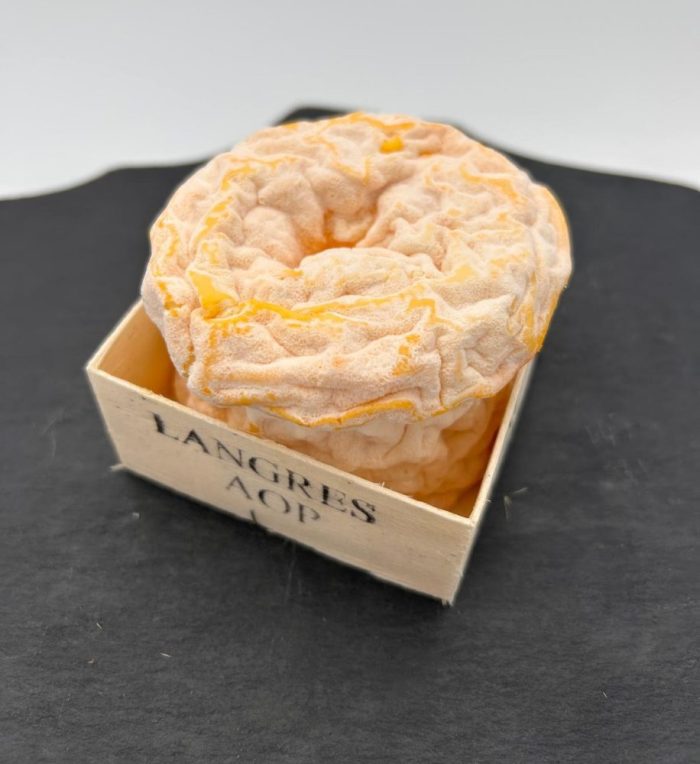 Langres – Image 4