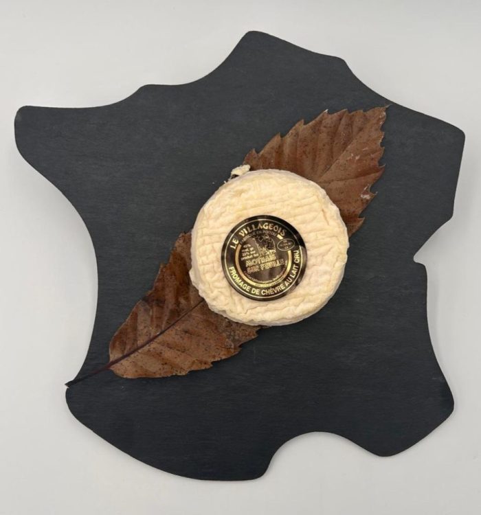 Mothais sur Feuille – Image 4