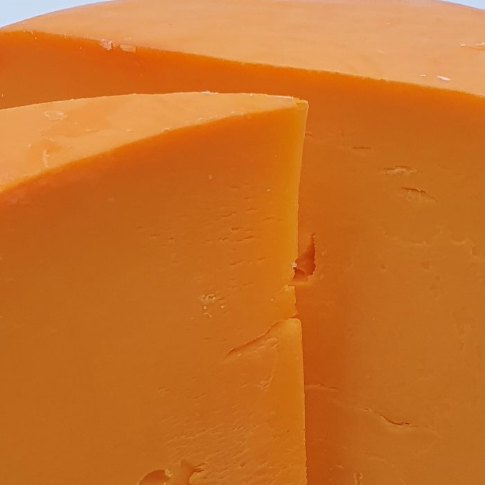 Mimolette jeune – Image 3